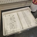 풍경을 담다, 어반스케치 | 여유당 정약용생가 어반스케치 3회차 봄날 야외스케치