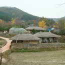 옛고향 Daum카페