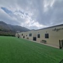 udogpia 유독피아 이미지