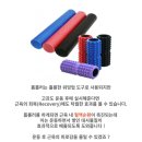피티엔랩
