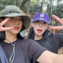 광이김밥 이미지