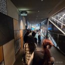 M-0061 | [도쿄 맛집] 네무로하나마루 (추천) - 오픈런 필수 긴자 가성비 회전초밥 웨이팅 등 점심 메뉴