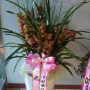 (주)화원식품