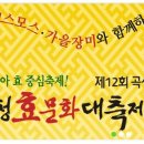 은행나무펜션 이미지