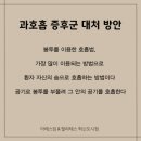아레스필라테스 - 화성시 영통로61번길 6 | 아레스필라테스