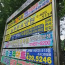 왕부발관리 이미지