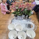 군산시정신건강복지센터 이미지