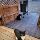 황룡스테이 이미지