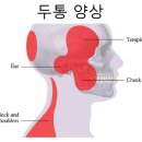 뒷골2로4 이미지