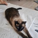 엄마손손세탁중화산점 이미지