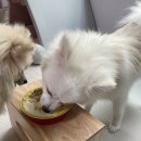 HoEat(호잇) 이미지