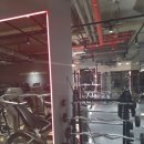 하이라이트 피트니스 | 하이라이트 피트니스 강남역점에서 프라이빗하게 운동과 식단 관리 경험하기