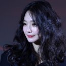 현애견미용실 네이버블로그