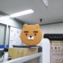 상근직 간호사 - 종합병원 보험심사 간호사 근무 후기