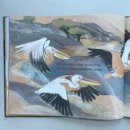 지구를 살리는 cool한 독서 | 꼬마뭉치 환경 그림책3. 나는 지구를 살리는 흙먼지야!