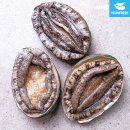 완도 활전복 1kg 9-10미 15,970원 이미지