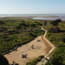 Harmony-ca 이미지