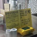달달호떡 - 유성구 반석로 28 | 아주대 맛집 | 아주대호떡 달달 초코호떡 후기