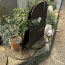 태춘 | 성수동 자연도 소금빵 웨이팅 후기 여니데이❤️