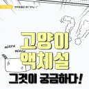 고려동물병원 이미지