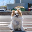 건국우유대리점 이미지