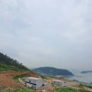 이강식 복싱교실 이미지