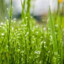 그해여름 이미지