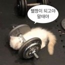 숨,도 | 여수 바레 “바나:숨 요가 &amp; 바레” 오픈클래스 후기🧘‍♀️