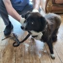 장기가축병원 이미지