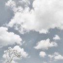 이른오후 이미지