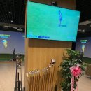 스타 스크린 골프연습장 이미지