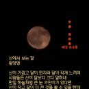 혜안시스템 이미지