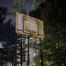 농구장 옆 횡단보도 이미지