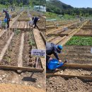 진주텃밭 이미지