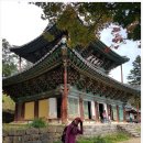 대웅농산 - 동구 아양로 53-12 | 대웅농산