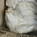 십이리길 이미지