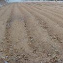 상일농장 이미지