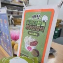 요거트아이스크림의 정석 세종시청점