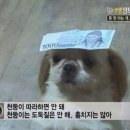 먹다