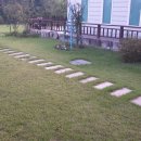 초록디딤돌 이미지