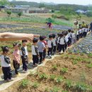 위즈캐슬어린이집 이미지