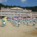 진부초등학교 이미지