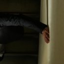 배따라기 이미지