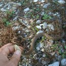 거리농장 이미지