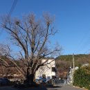 칠원주유소 이미지