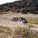 털보산장 이미지