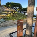 스테이1953 이미지