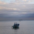 플로라펜션 이미지