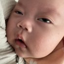 (주)평생동반자우리 | 3개월차 Week11(73일~79일) 주먹고기/남편생일/친구집 놀러가기/어린이집설명회