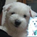 움직이는 마을 이미지